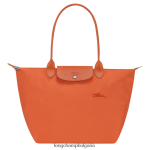 морков Жени зелена чанта le pliage чанти Longchamp 6084PZ407