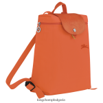 морков Жени le pliage зелена раница чанти Longchamp 6084PZ439 - Image 2