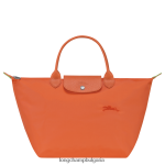 морков Жени le pliage зелена чанта чанти Longchamp 6084PZ196