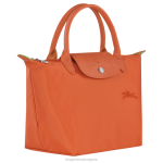 морков Жени le pliage зелена чанта чанти Longchamp 6084PZ41 - Image 3