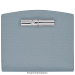 облачно синьо Жени портфейл розо кожени изделия Longchamp 6084PZ585