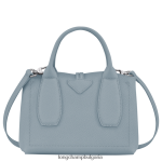 облачно синьо Жени розова чанта чанти Longchamp 6084PZ115 - Image 4