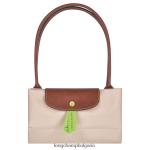 хартия Жени оригинална чанта le pliage чанти Longchamp 6084PZ419 - Image 6