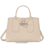 хартия Жени розова чанта чанти Longchamp 6084PZ106